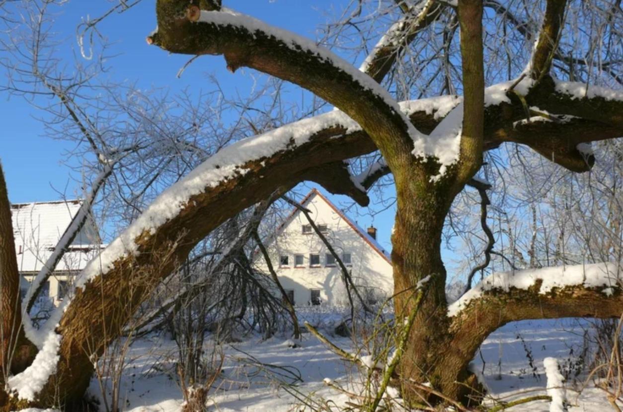 Kulturgutleben Boutiquehotel Seminarhaus Mollenbeck Kültér fotó